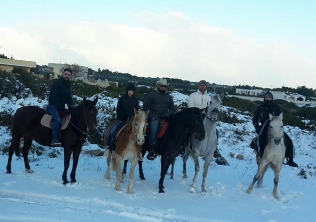 excursión ecuestre en la nieve 