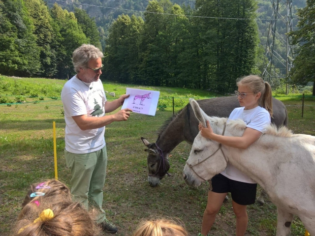 Actividades con burros. 
