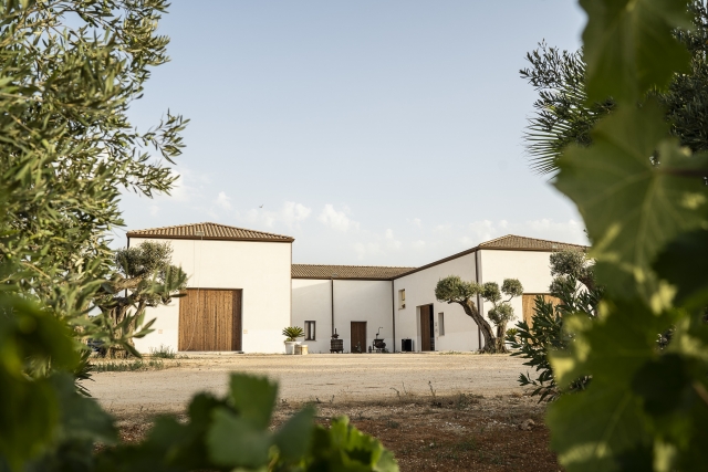  Fuera de la bodega 