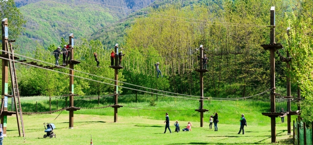  el parque rodeado de vegetación 