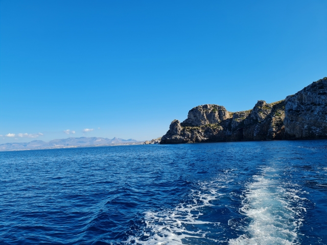  Excursiones en barco 