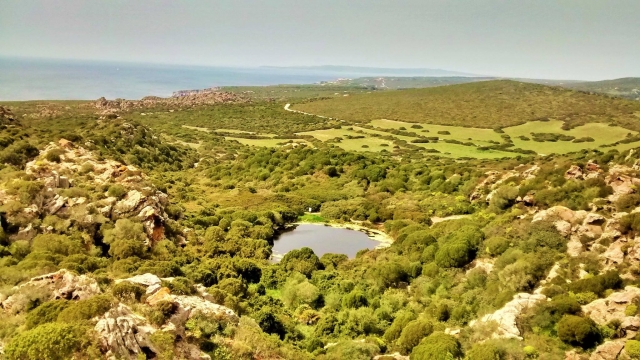  Extensión verde 