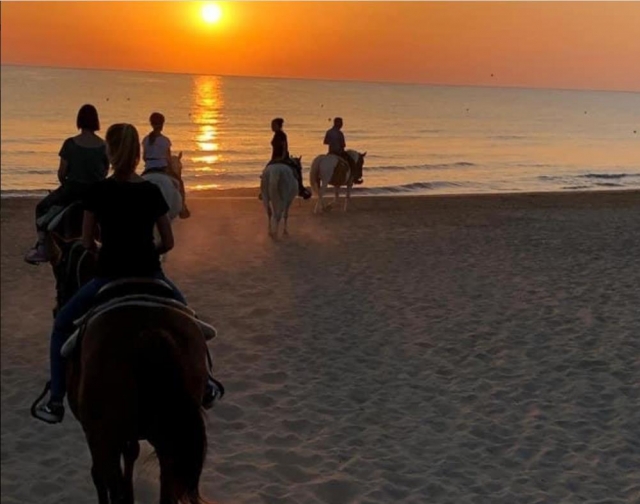  excursión al atardecer 