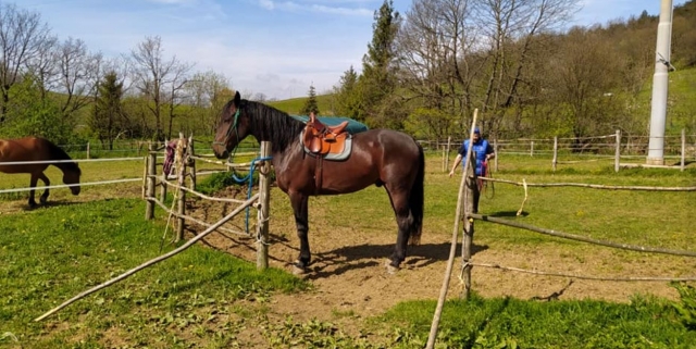  Uno de nuestros caballos