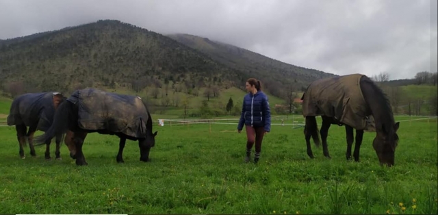  Con nuestros caballos 