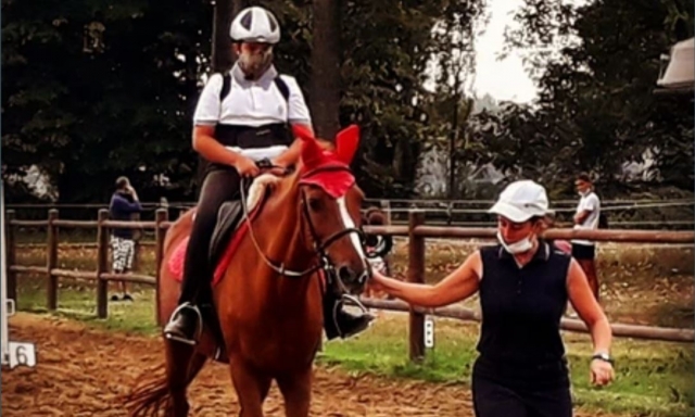  Instructores profesionales 