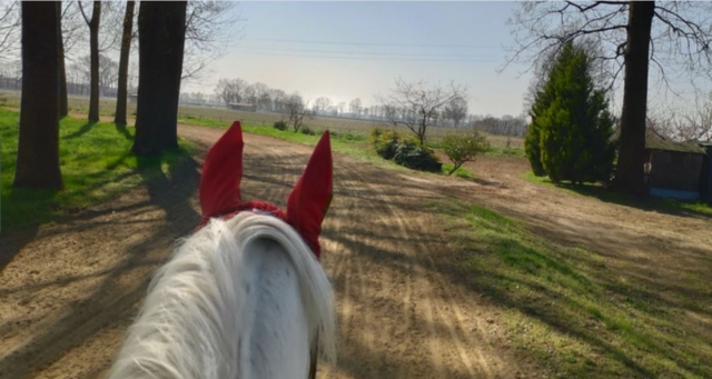  Caminar en la naturaleza 