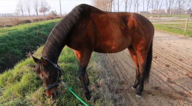  Descansar duranle la salida 
