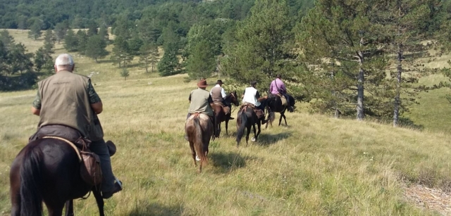  A caballo por los prados 