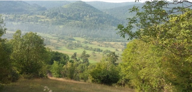  Espléndido paisaje 