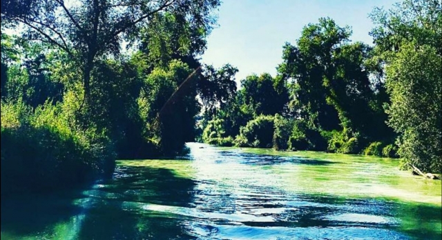  Excursiones en barco 