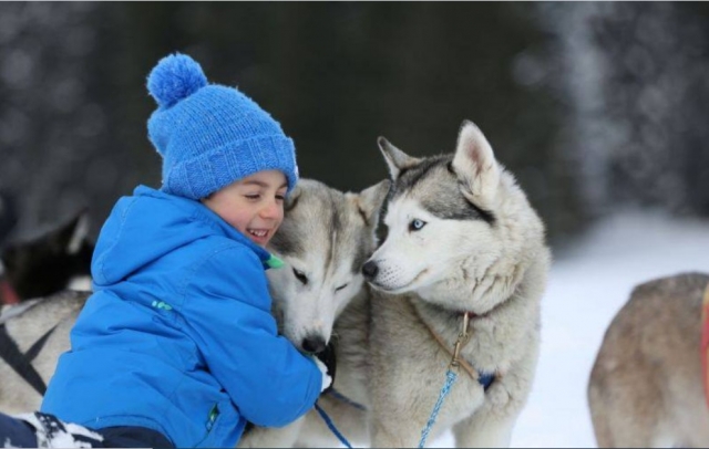  Con dóciles animales 