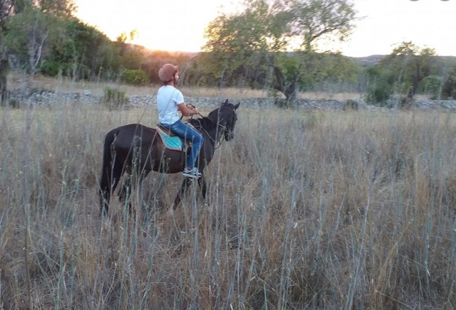  a caballo en el campo de Siracusa 