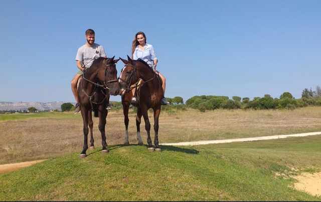 caballos felices 