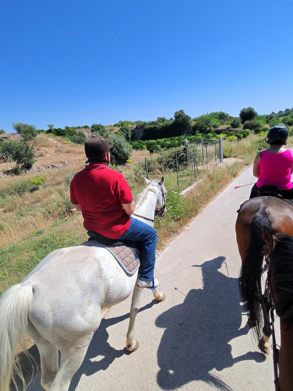 res_o-42597-passeggiate-a-cavallo_di_michele-romano_8045_17809040918168.jpg