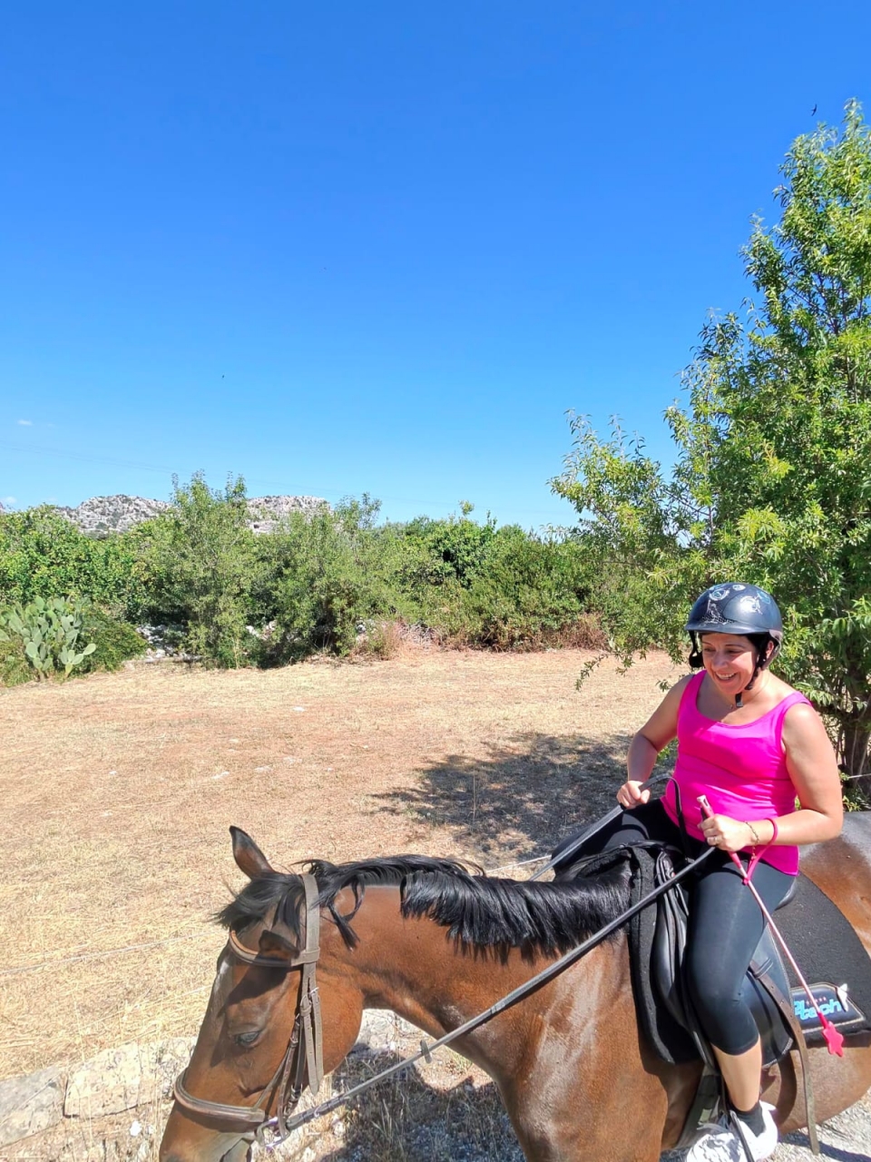 res_o-42597-passeggiate-a-cavallo_di_michele-romano_8055_17809041009680.jpg