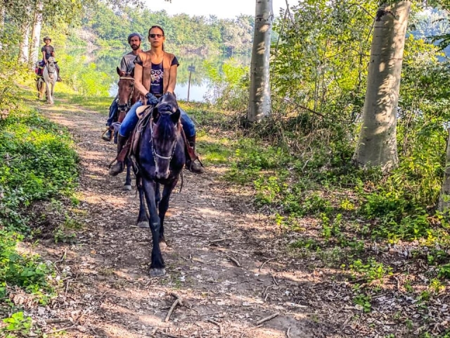  paseo a caballo en el bosque 