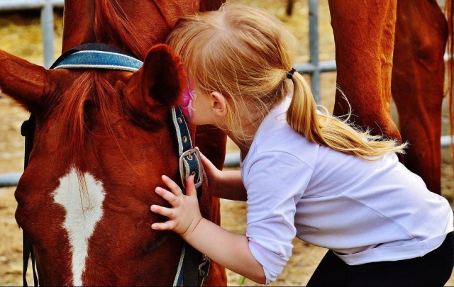  niños y caballos 
