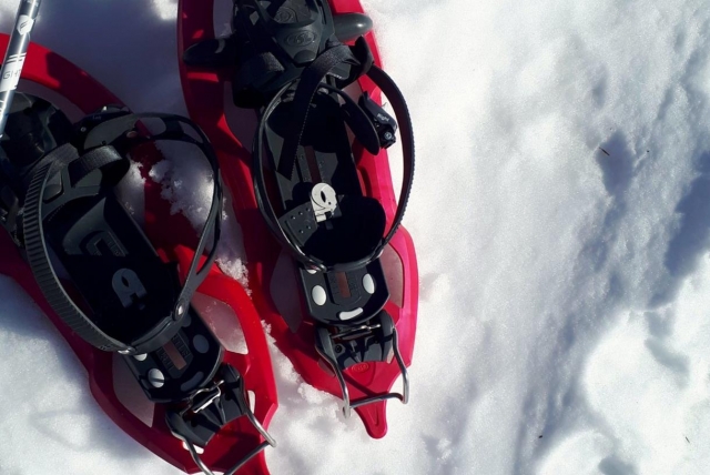  le esperamos en la nieve