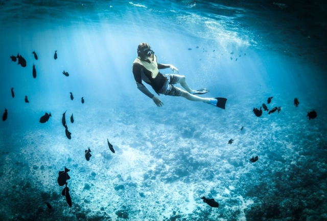  Actividades de snorkel 