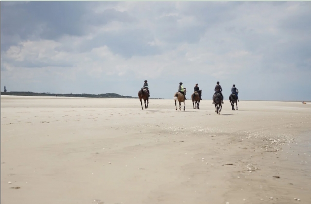  playa y caballo en bari