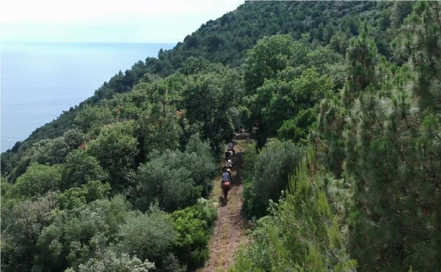  paseo a caballo en maratea 
