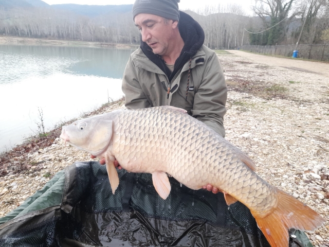  mire el pez giganle sacado del lago jardin 