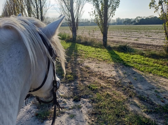  mire que hermoso paisaje 