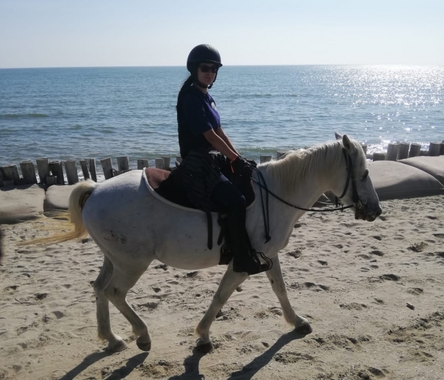  subamos a la silla de subir de parma 