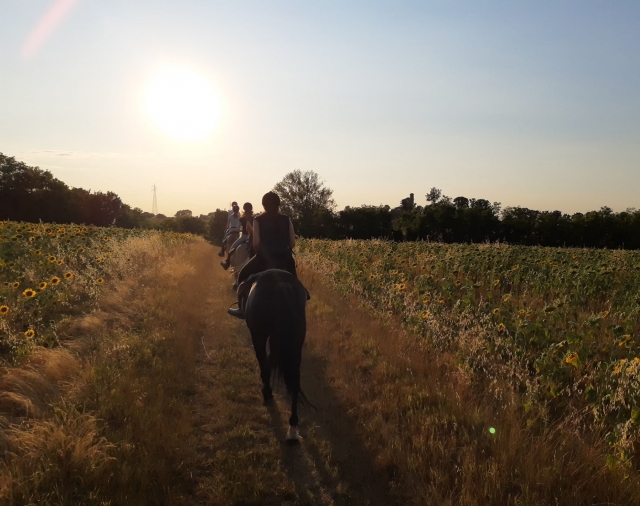 cabalgando hacia el sol 