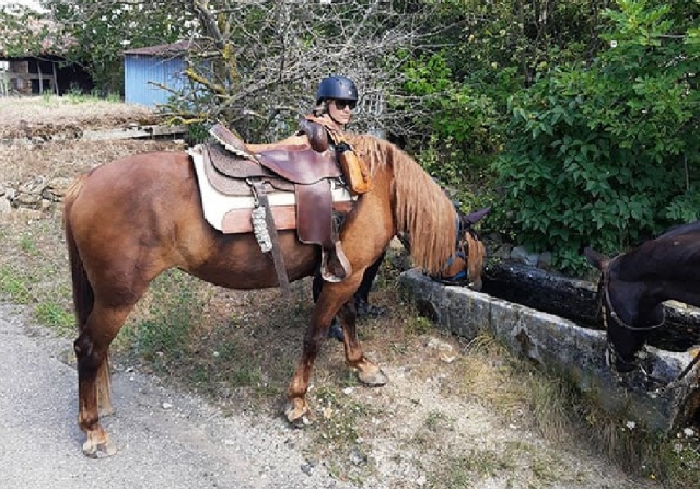 móntalo refrescándole 