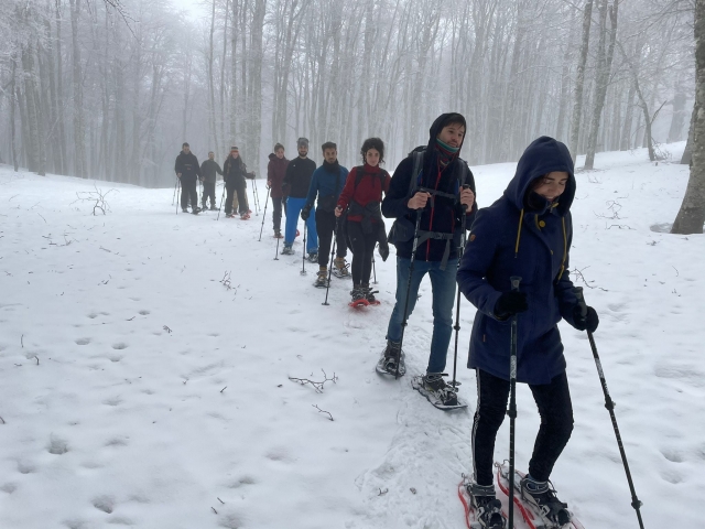  raquetas de nieve con ivy tour 