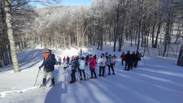 raquetas de nieve con ivy tour 