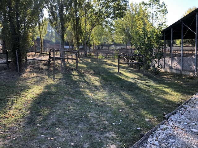  campo nel verde 
