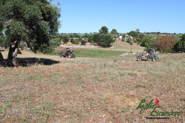  buggy en monopoli para todos 