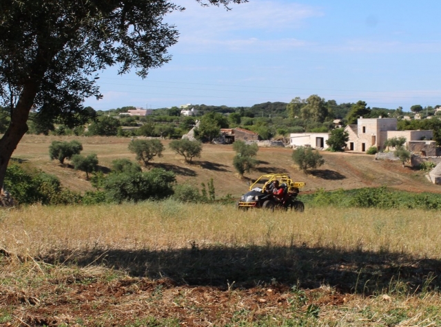  fabricamos buggy en monopoli 