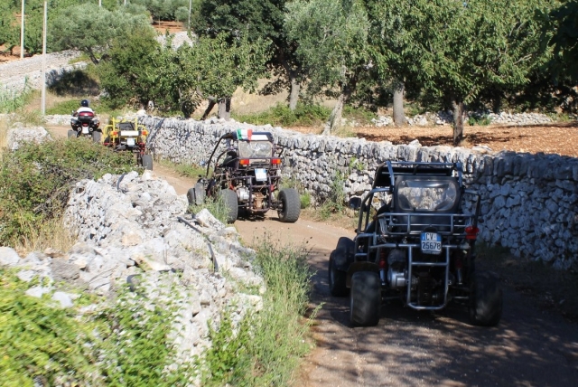  prepárale para un día de buggy en bari 