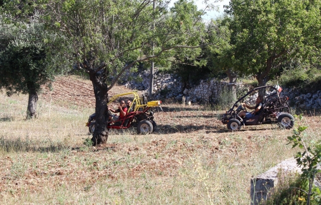  listo para una excursión en buggy