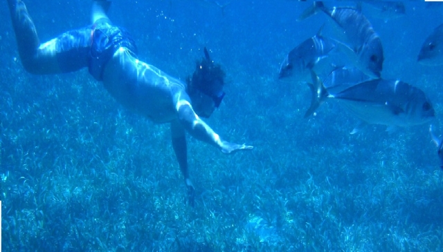  snorkeling en el mar 