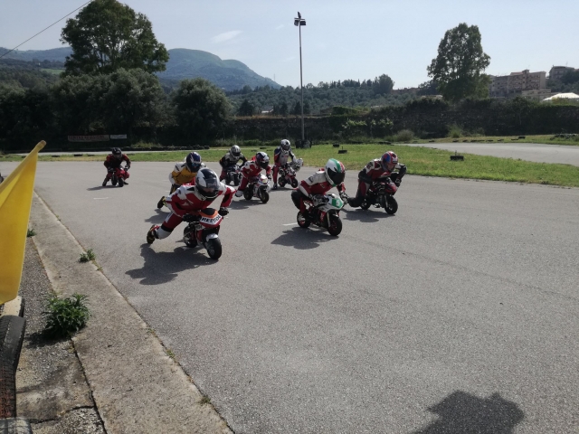  Inicio Race 1 50 cc. 