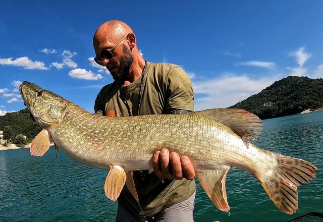  pesca de lucio 