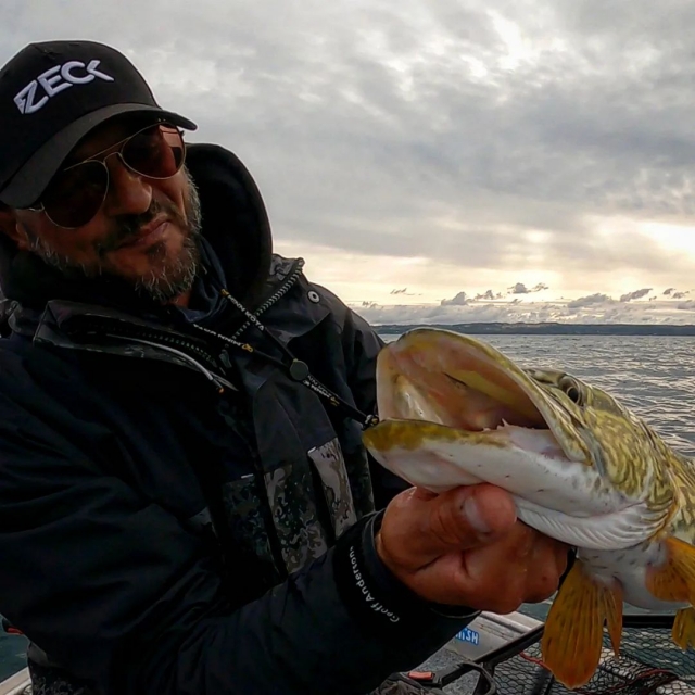  pesca del lucio 