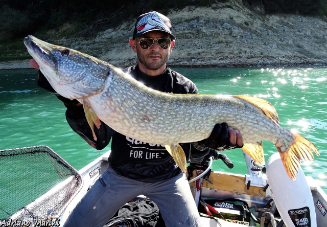  lucio 100 cm salto lago L 