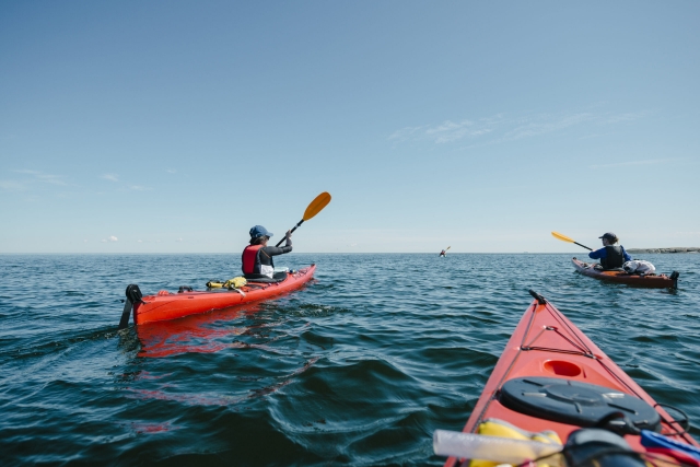 canoa 