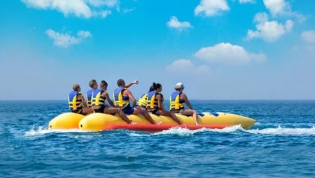  grupo banana 