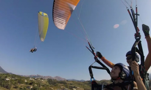  parapenle 