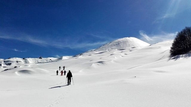  excursión con raquetas de nieve 