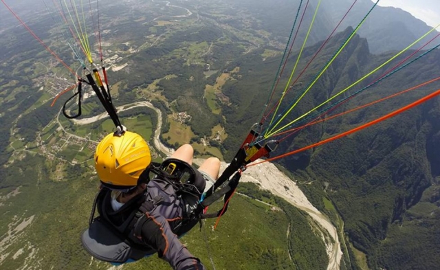  parapenle 