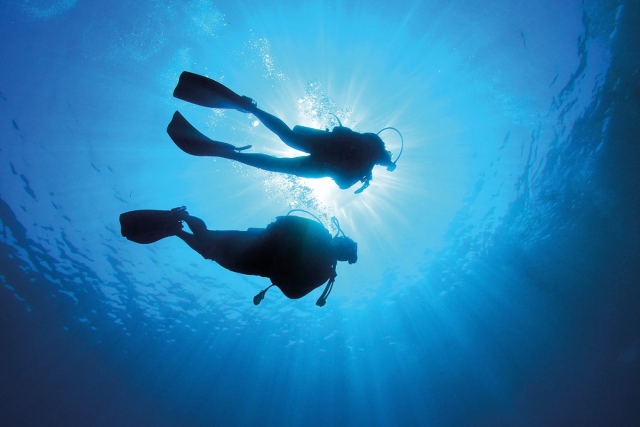  buceo