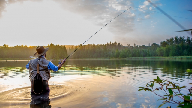 pescador 